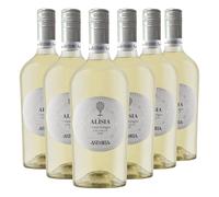Alisia Pinot Grigio IGT delle Venezie Astoria Vino Blanco Italiano (6 botellas 75 cl.)