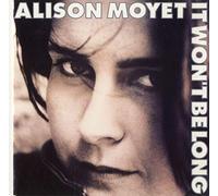 Alison Moyet - IT WON'T BE LONG 7 INCH (7" VINYL 45) DUTCH COLUMBIA 1991