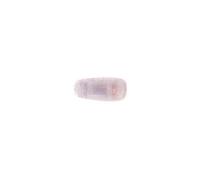 Alkar Automotive Piloto intermitente 440-1406N-UE lateral blanco para Sprinter/Vito/Clase V