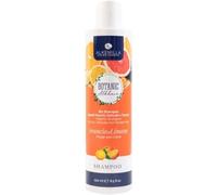 Alkemilla - Champú orgánico naranja y limón, 250 ml