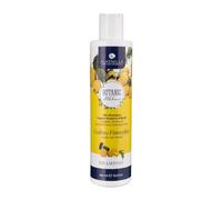 Alkemilla Shampoo Cedro y Finocchio - 250 ml