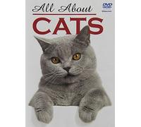 All About Cats [Reino Unido] [DVD]