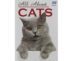 All About Cats [Reino Unido] [DVD]
