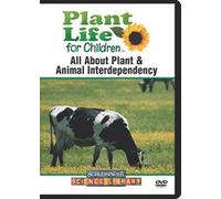 All About Plant & Animal Interdependency