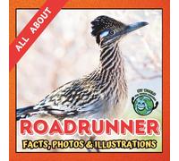 All about Roadrunner | Facts, Photos and Illustrations: A Picture Book for Curious Children | Screen-Free Infotainment (MY WORLD for YOUNG READERS)