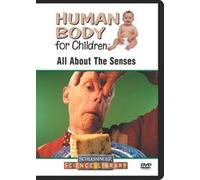 All About the Senses