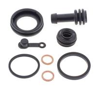 All Balls Kit de reconstrucción de pinzas