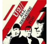 All Because of You [USA] [DVD]