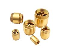 All-Copper Thickened Inner and Outer Wire Water Pipe Check Valve Spring One-Way Valve(Sv240W25 173g)