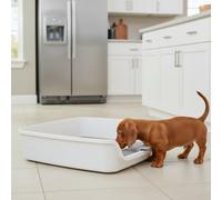 All For Paws Go Fresh Soporte Almohadillas Orina para perros