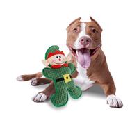 ALL FOR PAWS Holiday Dog Plush Squeaky Toy Chewing Toy for Puppy, Christmas Elf