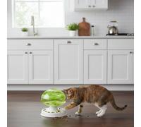 All For Paws Interactives Puzzle Mushroom para gatos