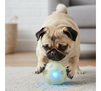 All For Paws Juguete Knite Balón con Luz para perros