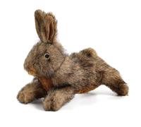 ALL FOR PAWS Juguetes de Conejo de Peluche para Mascotas con chirriador, Juguetes chirriantes duraderos y Suaves para Perros, 6 Pulgadas