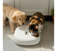 All For Paws Lifestyle Comedero Automático Blanco para perros y gatos