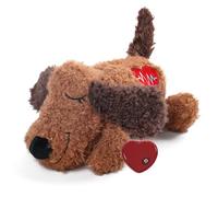 ALL FOR PAWS Little Buddy Heart Beat Sheep, juguete para cachorros con latido del corazón, juguete de entrenamiento para perros para separación, alivio de la ansiedad, ayuda conductual para mascotas