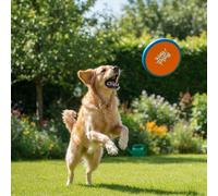 All For Paws Wag Play Juguete Frisbee Volador para perros