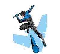 All in nightwing 01