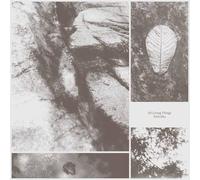 Park Jiha - All Living Things (LP)