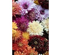 All My Fucking Secrets