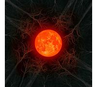 All of them Witches - Hunters Moon [Vinilo]