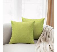 All Smiles Verde Claro Exterior Fundas de Almohada y de Cojín Decorativas 50x 50 CM，2PC de Hogar Patio al Aire Libre para Cama Sofá de Aguamarina Decoraciones