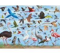 All The Birds 1,000 Piece Jigsaw Puzzle