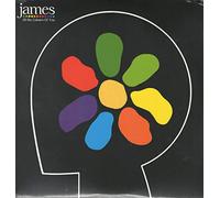 All the Colours of You