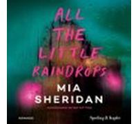 All The Little Raindrops (audiolibro)