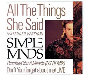 All The Things She Said (Extended Version) [UK Import]