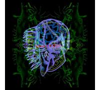 All Them Witches - Nothing As The Ideal [Vinilo]