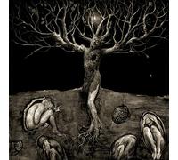 All Traps on Earth(Anglag - A Drop Of Light