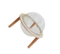 Allayu la acogedora Hamaca con temática Espacial para Gatos de Interior Que Buscan un Lugar Seguro para Dormir. La Hamaca Nido para Gatitos está diseñada una Esfera Transparente.