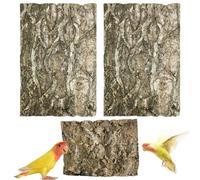Allazone Corteza de Arbol para Terrario, Paneles de Fondo Corteza de Corcho para Terrario Decoración de Pared de Fondo, Escondite Arbol Corteza Acuario Decoraciones (3PCS, 20 x 30cm)