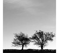 Allen, Jon - A Heightened Sense of Everything