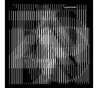 Alles Was Ich Noch Hab Sind Meine Kompetenzen [Vinilo]