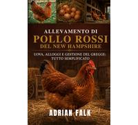 Allevamento di polli rossi del New Hampshire: Uova, alloggi e gestione del gregge: tutto semplificato.