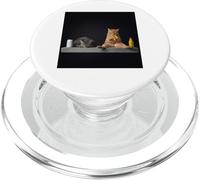 Alley Funny Cats Comiendo Taco Lindo Cat Lovers Diseño PopSockets PopGrip para MagSafe