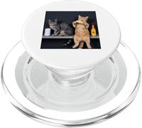 Alley Funny Cats Comiendo Taco Lindo Cat Lovers Diseño PopSockets PopGrip para MagSafe