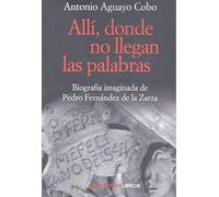 Allí, donde no llegan las palabras: Biografía imaginada de Pedro Fernández de la Zarza: 10 (Narrativa)