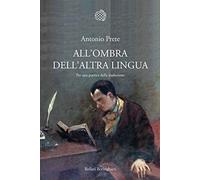 All'ombra dell'altra lingua. Per una poetica della traduzione (Nuova cultura)