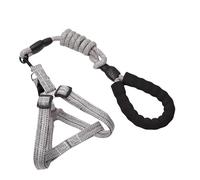 alloneslife Correa para perro, correa deslizante para perro, arnés de cuerda larga para mascotas, fuerte entrenamiento, caminar, natación, mango suave (gris, tamaño S)