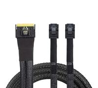 Allowish Cable de conexión de Servidor Mini SlimSAS SFF-8654 8i 4.0 a 2X SAS HD SFF-8643 (0.8m,Black)