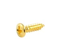'AllParts GS 0001 - 002 "PG Tornillos de 20 unidades de repuesto y piezas pequeñas para guitarra de oro