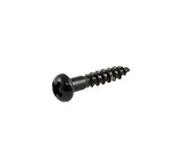 AllParts GS 0006 - 003 mecanismo Tornillos (16 unidades), color negro