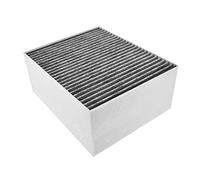 AllSpares CleanAir - Filtro de repuesto para campanas extractoras Bosch DSZ5220 / DSZ5201 / 00678460/9001155508 / 11017314, Siemens LZ56200, Neff Z5170X1 y Gaggenau AA200110 (200110) 30x19 0 x 100 mm)