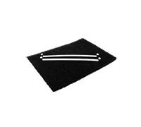 AllSpares Filtro de carbón activo para campanas extractoras | Compatible con Airone PCR1, CARMEN, FENICE, LORELEY, RAFFAELLO, ACFCRETT28X20X1002 | 200 x 270 x 10 mm