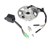 Allthingstore Bobina de encendido para estator magnético, compatible con D8EA DR8EA D7EA D8TC DPR8EA-9, 125Cc-250cc Pieza de scooter de motor todoterreno de un solo cilindro