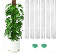 Allthingstore Juego de postes de musgo de plástico de 24 pulgadas en forma de D para plantas trepadoras, proporciona un soporte vertical estable y fijación de raíz plana para promover un desarrollo