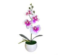Allthingstore Orquídea mariposa bonsái flor artificial flor de seda multicolor cuatro flores pequeñas redondas vientre maceta realista planta decorativa 30 x 17 cm para el hogar, oficina, baño (morado